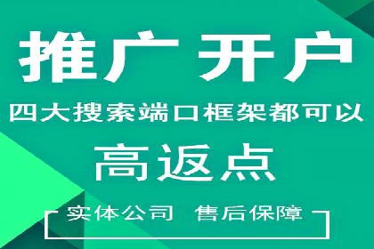 SEM托管服务案例：优化策略与效果展示